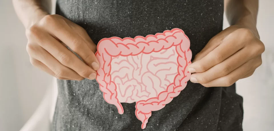 Persona sosteniendo una ilustración del intestino en papel, destacando su anatomía de forma colorida y educativa.